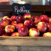maturin, épicerie en ligne les vergers la tête dans les pommes inc. à st-joseph-du-lac, j0n 1m0 , maturin.ca, épiceries, épicerie en ligne, fine, bio, commande en ligne, livraison à domicile, alimentation, producteur, consommateur, quebec, canada