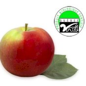 maturin, épicerie en ligne les vergers la tête dans les pommes inc. à st-joseph-du-lac, j0n 1m0 , maturin.ca, épiceries, épicerie en ligne, fine, bio, commande en ligne, livraison à domicile, alimentation, producteur, consommateur, quebec, canada