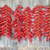 maturin, épicerie en ligne le jardin des chefs à quebec, g0a 2m0 , maturin.ca, épiceries, épicerie en ligne, fine, bio, commande en ligne, livraison à domicile, alimentation, producteur, consommateur, quebec, canada