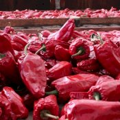 maturin, épicerie en ligne le jardin des chefs à quebec, g0a 2m0 , maturin.ca, épiceries, épicerie en ligne, fine, bio, commande en ligne, livraison à domicile, alimentation, producteur, consommateur, quebec, canada