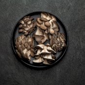 maturin, épicerie en ligne blanc de gris - champignons frais , maturin.ca, épiceries, épicerie en ligne, fine, bio, commande en ligne, livraison à domicile, alimentation, producteur, consommateur, quebec, canada