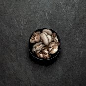 maturin, épicerie en ligne blanc de gris - champignons frais , maturin.ca, épiceries, épicerie en ligne, fine, bio, commande en ligne, livraison à domicile, alimentation, producteur, consommateur, quebec, canada