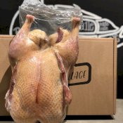 maturin, épicerie en ligne canard du village à saint-pie, j0h 1w0 , maturin.ca, épiceries, épicerie en ligne, fine, bio, commande en ligne, livraison à domicile, alimentation, producteur, consommateur, quebec, canada