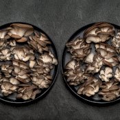 maturin, épicerie en ligne blanc de gris - champignons frais , maturin.ca, épiceries, épicerie en ligne, fine, bio, commande en ligne, livraison à domicile, alimentation, producteur, consommateur, quebec, canada