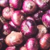 maturin, oignons rouges 3 lbs, , au jardin noir | maturin.ca, épiceries, épicerie en ligne, fine, bio, commande en ligne, livraison à domicile, alimentation, producteur, consommateur, quebec, canada