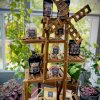 maturin, pralines aux amandes, les confiseries des mamie , les confiseries de mamie | maturin.ca, épiceries, épicerie en ligne, fine, bio, commande en ligne, livraison à domicile, alimentation, producteur, consommateur, quebec, canada