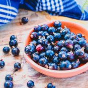 maturin, épicerie en ligne les vergers la tête dans les pommes inc. à st-joseph-du-lac, j0n 1m0 , maturin.ca, épiceries, épicerie en ligne, fine, bio, commande en ligne, livraison à domicile, alimentation, producteur, consommateur, quebec, canada