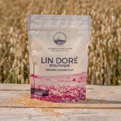 Graines de lin doré bio