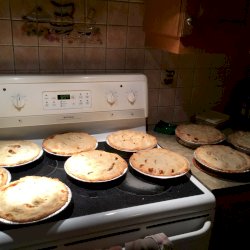 tarte aux 4 petits fruits 9 pouces, votre panier , maturin.ca, épiceries, épicerie en ligne, fine, bio, commande en ligne, livraison à domicile, alimentation, producteur, consommateur, quebec, canada