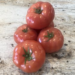 2.5lbs de tomates, votre panier , maturin.ca, épiceries, épicerie en ligne, fine, bio, commande en ligne, livraison à domicile, alimentation, producteur, consommateur, quebec, canada