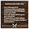 maturin, panne (suif) de porc mangalitsa pur, mangalitsa porc-joli , mangalitsa porc joli | maturin.ca, épiceries, épicerie en ligne, fine, bio, commande en ligne, livraison à domicile, alimentation, producteur, consommateur, quebec, canada