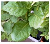 maturin, épicerie en ligne au jardin d'edem à east farnham, j2k 4t8 , maturin.ca, épiceries, épicerie en ligne, fine, bio, commande en ligne, livraison à domicile, alimentation, producteur, consommateur, quebec, canada
