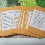 maturin, épicerie en ligne au jardin d'edem à east farnham, j2k 4t8 , maturin.ca, épiceries, épicerie en ligne, fine, bio, commande en ligne, livraison à domicile, alimentation, producteur, consommateur, quebec, canada