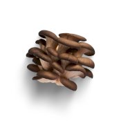 maturin, épicerie en ligne blanc de gris - champignons frais , maturin.ca, épiceries, épicerie en ligne, fine, bio, commande en ligne, livraison à domicile, alimentation, producteur, consommateur, quebec, canada