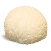 maturin, épicerie en ligne blanc de gris - champignons frais , maturin.ca, épiceries, épicerie en ligne, fine, bio, commande en ligne, livraison à domicile, alimentation, producteur, consommateur, quebec, canada