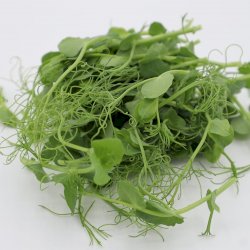 micro pousse - pois sucré, votre panier , maturin.ca, épiceries, épicerie en ligne, fine, bio, commande en ligne, livraison à domicile, alimentation, producteur, consommateur, quebec, canada