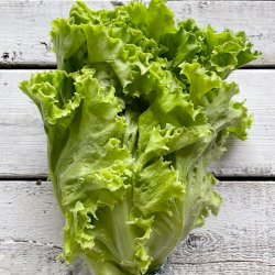 laitue (unit?), votre panier , maturin.ca, épiceries, épicerie en ligne, fine, bio, commande en ligne, livraison à domicile, alimentation, producteur, consommateur, quebec, canada