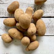maturin, épicerie en ligne au jardin d'edem à east farnham, j2k 4t8 , maturin.ca, épiceries, épicerie en ligne, fine, bio, commande en ligne, livraison à domicile, alimentation, producteur, consommateur, quebec, canada