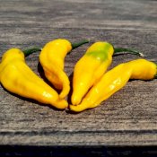 maturin, épicerie en ligne l. virgo diable piquant/ l. virgo spicy devil , maturin.ca, épiceries, épicerie en ligne, fine, bio, commande en ligne, livraison à domicile, alimentation, producteur, consommateur, quebec, canada