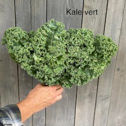 kale vert, votre panier , maturin.ca, épiceries, épicerie en ligne, fine, bio, commande en ligne, livraison à domicile, alimentation, producteur, consommateur, quebec, canada
