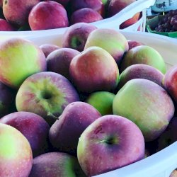 pommes richelieu, votre panier , maturin.ca, épiceries, épicerie en ligne, fine, bio, commande en ligne, livraison à domicile, alimentation, producteur, consommateur, quebec, canada