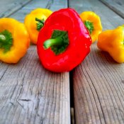 maturin, épicerie en ligne l. virgo diable piquant/ l. virgo spicy devil , maturin.ca, épiceries, épicerie en ligne, fine, bio, commande en ligne, livraison à domicile, alimentation, producteur, consommateur, quebec, canada