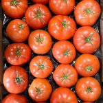 Tomates rouges 15 lbs