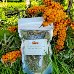 tisane biologique de feuilles d’argousier, votre panier , maturin.ca, épiceries, épicerie en ligne, fine, bio, commande en ligne, livraison à domicile, alimentation, producteur, consommateur, quebec, canada