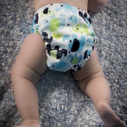 Couche lavable unisex (tout-en-un)