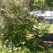 maturin, épicerie en ligne herbe de blé les jardins de marie-claire à saint-eustache, j7r 4k3 , maturin.ca, épiceries, épicerie en ligne, fine, bio, commande en ligne, livraison à domicile, alimentation, producteur, consommateur, quebec, canada