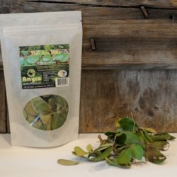 Thé des bois