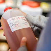 maturin, épicerie en ligne les vergers la tête dans les pommes inc. à st-joseph-du-lac, j0n 1m0 , maturin.ca, épiceries, épicerie en ligne, fine, bio, commande en ligne, livraison à domicile, alimentation, producteur, consommateur, quebec, canada