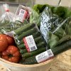 maturin, panier de légumes (familial), , ferme des 3 clefs | maturin.ca, épiceries, épicerie en ligne, fine, bio, commande en ligne, livraison à domicile, alimentation, producteur, consommateur, quebec, canada