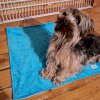 maturin, tapis de propreté pour chien - format moyen 19 x 27 pouces, agrumette , agrumette produits lavables | maturin.ca, épiceries, épicerie en ligne, fine, bio, commande en ligne, livraison à domicile, alimentation, producteur, consommateur, quebec, canada