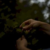 maturin, épicerie en ligne gourmet sauvage à saint faustin, j0t1j2 , maturin.ca, épiceries, épicerie en ligne, fine, bio, commande en ligne, livraison à domicile, alimentation, producteur, consommateur, quebec, canada
