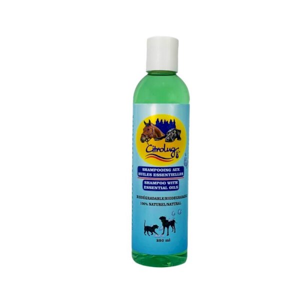 product name