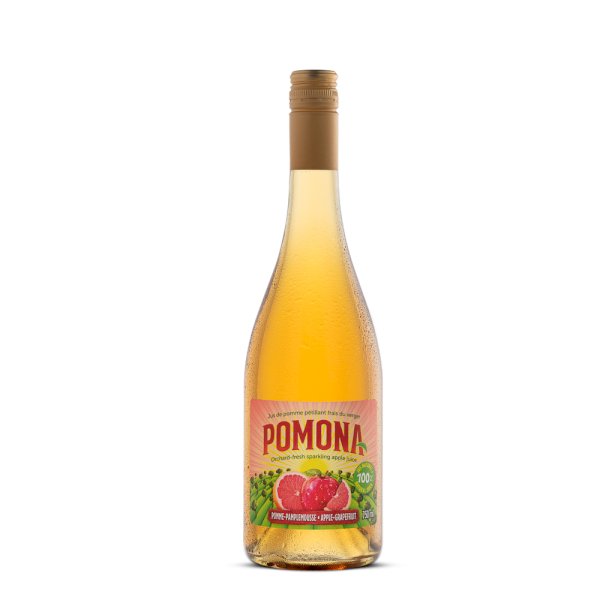 product name
