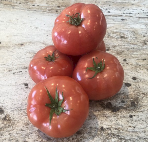 2.5lbs de tomates, , ferme des 3 clefs | maturin.ca, maturin, épicerie en ligne, commande en ligne, livraison à domicile, alimentation, producteur, quebec, canada