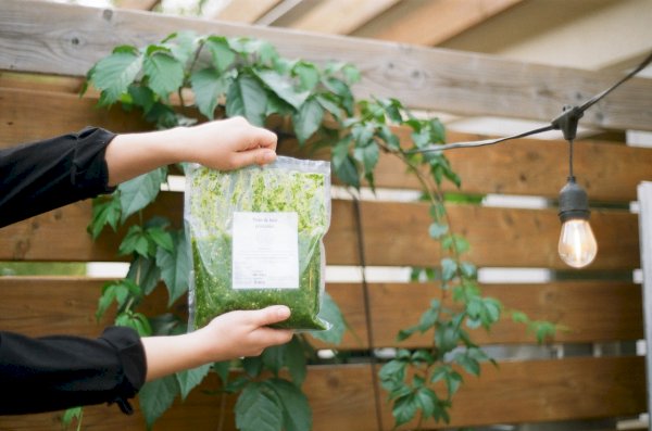 pesto de basilic et kale, archipel , l'archipel | maturin.ca, maturin, épicerie en ligne, commande en ligne, livraison à domicile, alimentation, producteur, quebec, canada