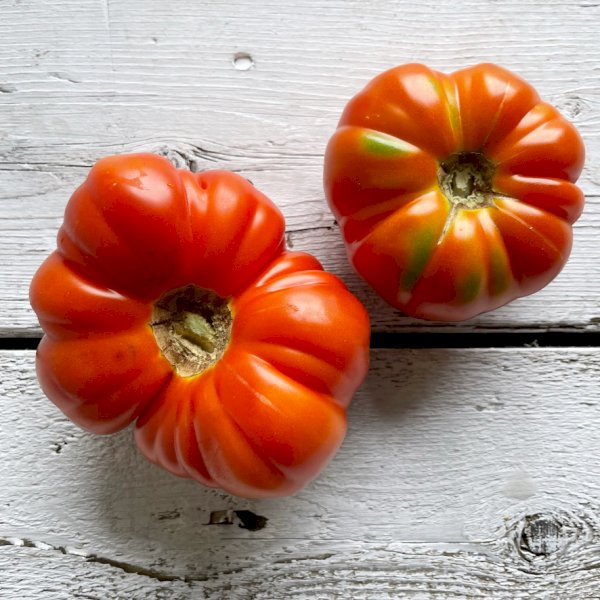 tomates ancestrales, , ferme des 3 clefs | maturin.ca, maturin, épicerie en ligne, commande en ligne, livraison à domicile, alimentation, producteur, quebec, canada
