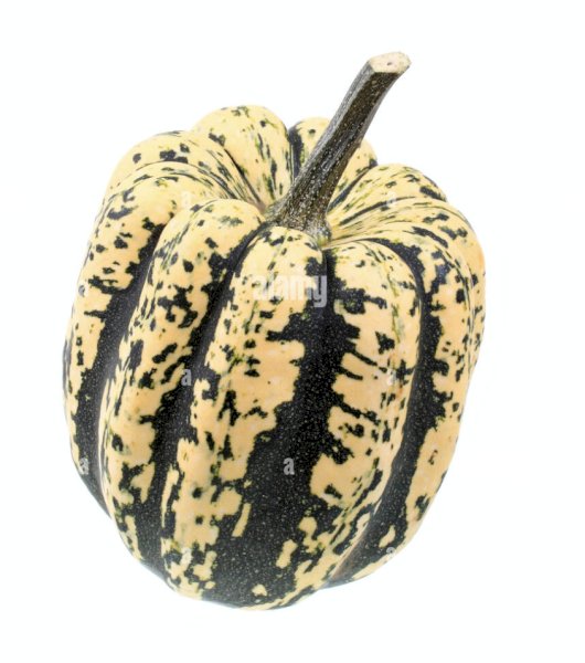 product name