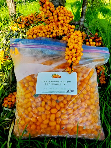 product name