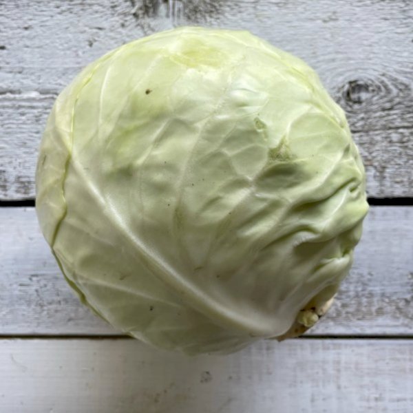 chou d'hiver, environ 4 lbs , au jardin noir | maturin.ca, maturin, épicerie en ligne, commande en ligne, livraison à domicile, alimentation, producteur, quebec, canada