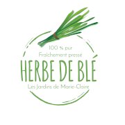 Herbe de Blé Les jardins de Marie-Claire, Laurentides, maturin, épicerie en ligne, commande en ligne, livraison à domicile, alimentation, producteur, quebec, canada, épicerie en ligne herbe de blé les jardins de marie-claire à saint-eustache, j7r 4k3 , maturin.ca